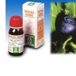 MIRTILLO 31 50ML TM - Farmacia Dott. Pasquale Russo