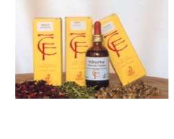 VIBURNO GEMME 100ML MG - Farmacia Dott. Pasquale Russo