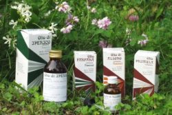 RAEMIL PROPOLI OLIO 25 ML - Farmacia Dott. Pasquale Russo