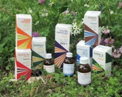RAEMIL PROPOLI COMPOSTO 15 ML - Farmacia Dott. Pasquale Russo