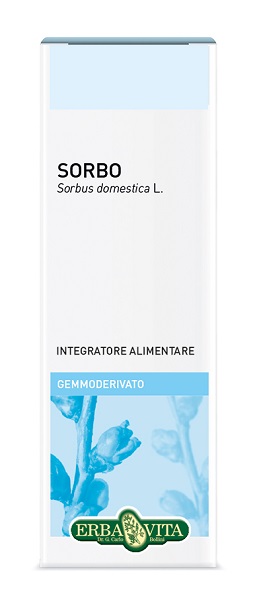 GEMMODERIVATO SORBO 50 ML - Farmacia Dott. Pasquale Russo