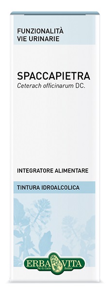 SPACCAPIETRA TINTURA IDROALCOLICA 50 ML EBV - Farmacia Dott. Pasquale Russo