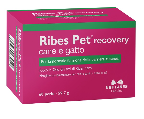 RIBES PET RECOVERY BLISTER 60 PERLE - Farmacia Dott. Pasquale Russo