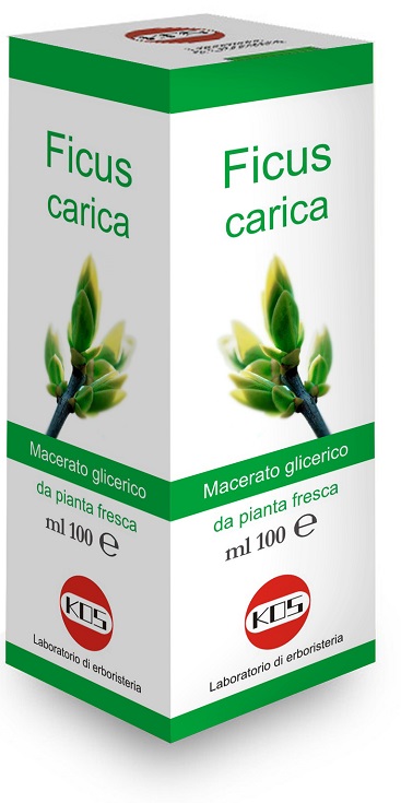 FICUS CARICA MACERATO GLICERICO 100 ML - Farmacia Dott. Pasquale Russo