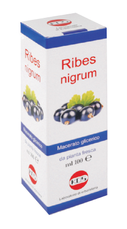 RIBES NIGRUM MACERATO GLICERICO 100 ML GOCCE - Farmacia Dott. Pasquale Russo