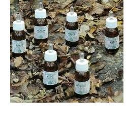 KA PLANTA OLIO MASSAGGIO 30 ML - Farmacia Dott. Pasquale Russo