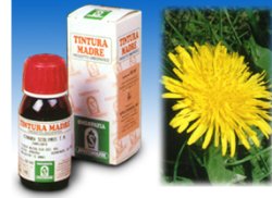 TARASSACO 28 50ML TM - Farmacia Dott. Pasquale Russo