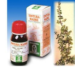 UVA URSINA 30 50ML TM - Farmacia Dott. Pasquale Russo