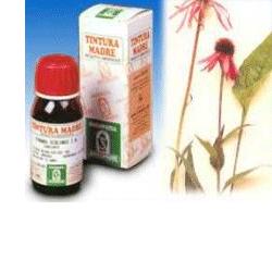 ECHINACEA 59 50ML TM - Farmacia Dott. Pasquale Russo