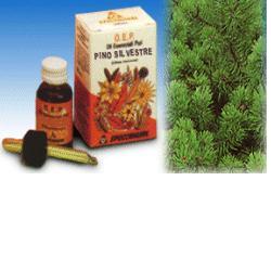 PINO SILVESTRE OLIO ESSENZIALE PURO 10 ML - Farmacia Dott. Pasquale Russo