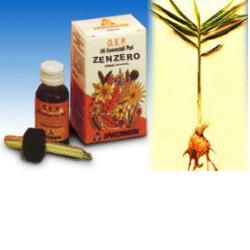 ZENZERO OLIO ESSENZIALE PURO 10 ML - Farmacia Dott. Pasquale Russo