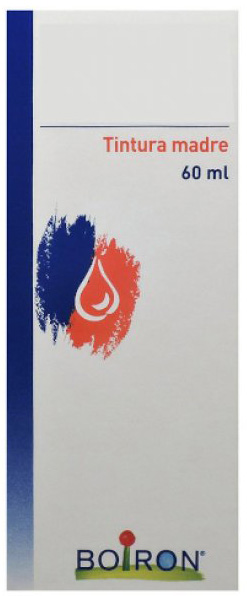 TARAXACUM TINTURA MADRE 60 ML - Farmacia Dott. Pasquale Russo