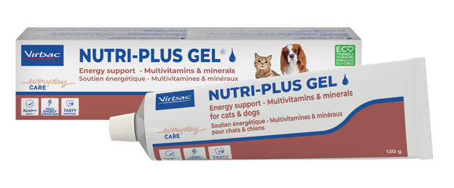 NUTRIPLUS GEL PASTA ORALE 120 G - Farmacia Dott. Pasquale Russo