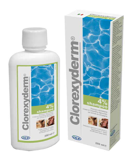 CLOREXYDERM SHAMPOO 4% 250 ML - Farmacia Dott. Pasquale Russo