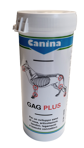 GAG PLUS 200 G 120 TAVOLETTE - Farmacia Dott. Pasquale Russo