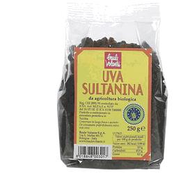 UVA SULTANINA 250 G - Farmacia Dott. Pasquale Russo
