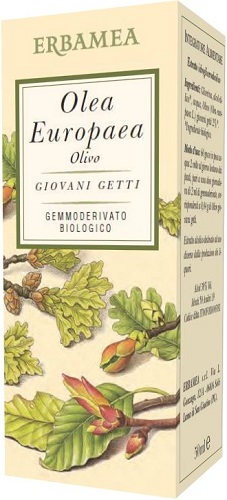 OLEA EUROPEA OLIVO BIO 50 ML - Farmacia Dott. Pasquale Russo