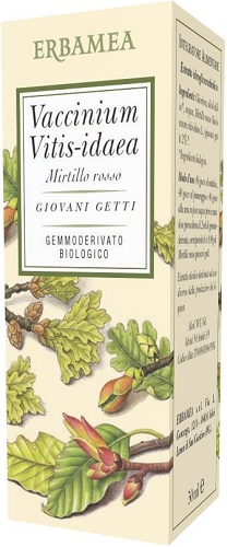 VACCINIUM VITIS IDAEA MIRTILLO ROSSO BIO 50 ML - Farmacia Dott. Pasquale Russo