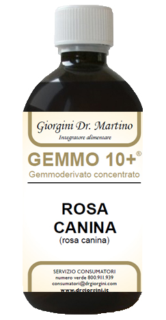 GEMMO 10+ ROSA CANINA LIQUIDO ANALCOLICO 500 ML - Farmacia Dott. Pasquale Russo