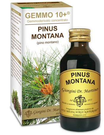 GEMMO 10+ PINO MONTANO 100 ML LIQUIDO ANALCOLICO - Farmacia Dott. Pasquale Russo