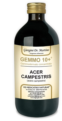 GEMMO 10+ ACERO CAMPESTRE 500 ML LIQUIDO ANALCOLICO - Farmacia Dott. Pasquale Russo