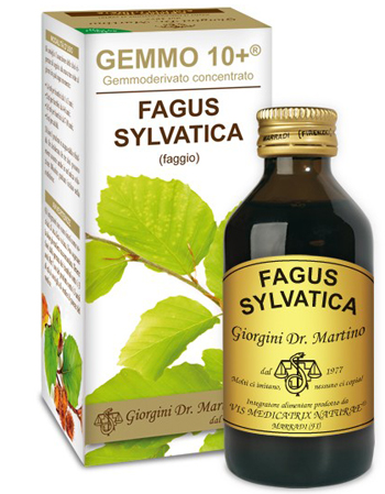 GEMMO 10+ FAGGIO 100 ML LIQUIDO ANALCOLICO - Farmacia Dott. Pasquale Russo