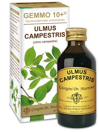 GEMMO 10+ OLMO CAMPESTRE 100 ML LIQUIDO ANALCOLICO - Farmacia Dott. Pasquale Russo