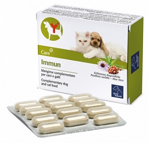 IMMUN 60 COMPRESSE - Farmacia Dott. Pasquale Russo