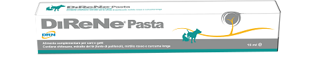 DIRENE PASTA 15 ML - Farmacia Dott. Pasquale Russo