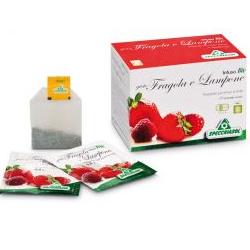 INFUSO BIO FRAGOLA E LAMPONE 20 FILTRI - Farmacia Dott. Pasquale Russo