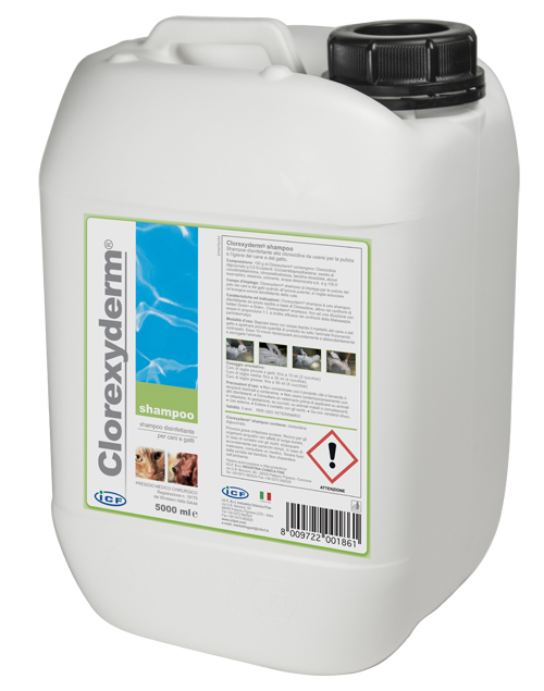 CLOREXYDERM SHAMPOO 5 LITRI - Farmacia Dott. Pasquale Russo