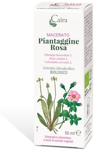CAIRA PIANTAGGINE ROSA MACERATO IDROALCOLICO GOCCE 50 ML - Farmacia Dott. Pasquale Russo