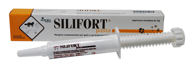 SILIFORT PASTA OS SIRINGA 15 G - Farmacia Dott. Pasquale Russo
