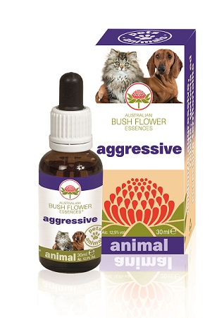 AGGRESSIVE 30 ML - Farmacia Dott. Pasquale Russo