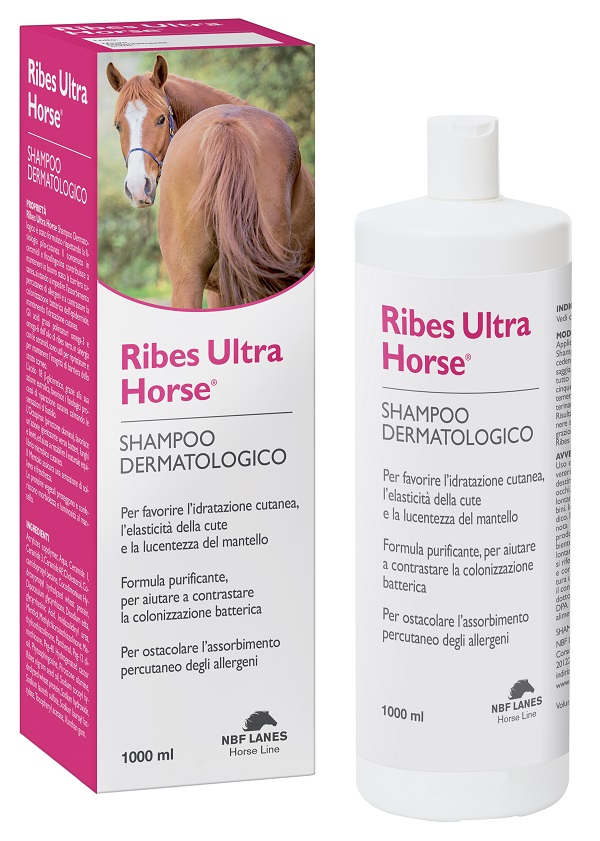 RIBES HORSE ULTRA SHAMPOO DERMATOLOGICO 1 LITRO - Farmacia Dott. Pasquale Russo