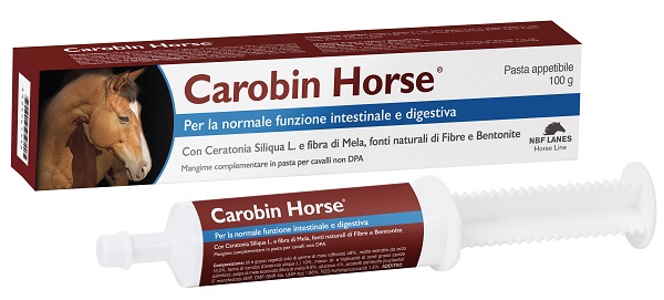 CAROBIN HORSE PASTA APPETIBILE SIRINGA 100 G - Farmacia Dott. Pasquale Russo