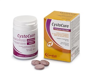 CYSTOCURE FORTE BARATTOLO 30 COMPRESSE - Farmacia Dott. Pasquale Russo