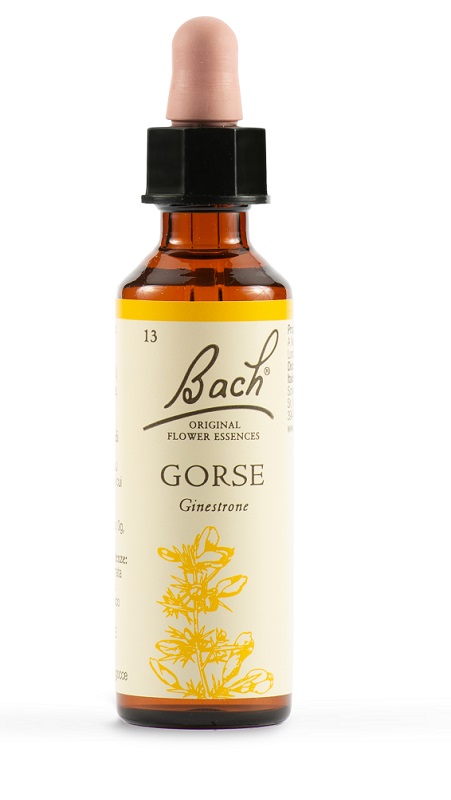 GORSE BACH ORIG 20 ML - Farmacia Dott. Pasquale Russo