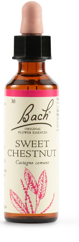 SWEET CHEST BACH ORIG 20 ML - Farmacia Dott. Pasquale Russo