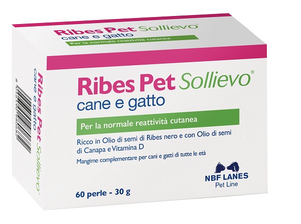 RIBES PET SOLLIEVO BLISTER 60 PERLE - Farmacia Dott. Pasquale Russo