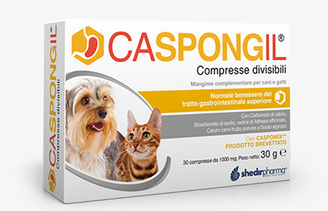 CASPONGIL 30 COMPRESSE DIVISIBILI - Farmacia Dott. Pasquale Russo