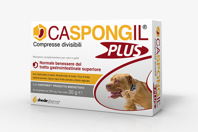 CASPONGIL PLUS 30 COMPRESSE - Farmacia Dott. Pasquale Russo