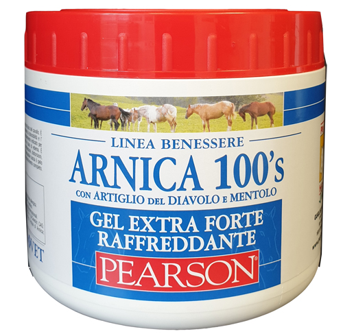 ARNICA 100'S EXTRA FORTE 500 ML - Farmacia Dott. Pasquale Russo