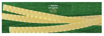 E MAFALDINE 500 G - Farmacia Dott. Pasquale Russo