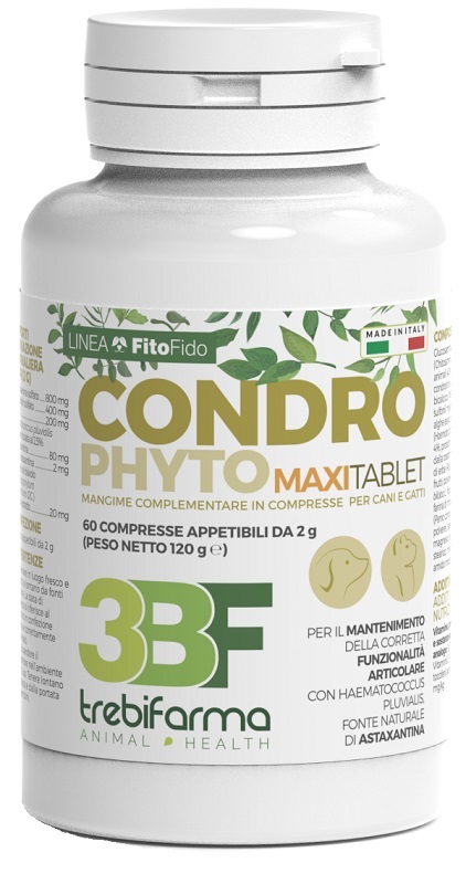 CONDROPHYTO 60 COMPRESSE 2 G - Farmacia Dott. Pasquale Russo