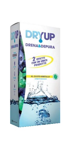 DRYUP MIRTILLO 300 ML - Farmacia Dott. Pasquale Russo