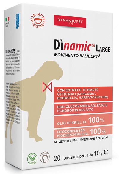 DINAMIC LARGE 20 BUSTINE 10 G - Farmacia Dott. Pasquale Russo