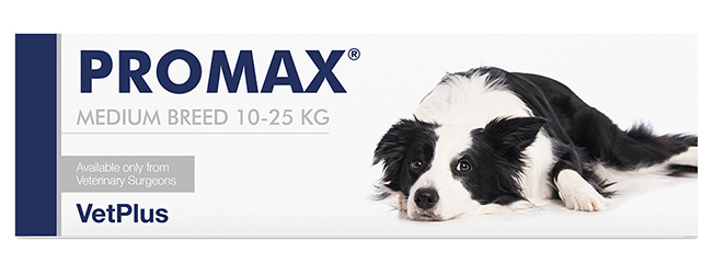 PROMAX MEDIUM BREED 18 ML - Farmacia Dott. Pasquale Russo