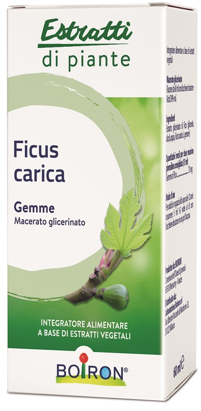 FICUS CARICA BOIRON MACERATO GLICERICO 60 ML - Farmacia Dott. Pasquale Russo
