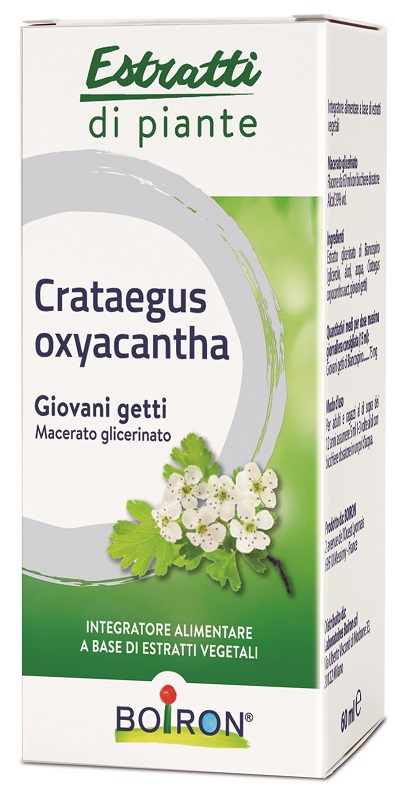 CRATAEGUS BOIRON MACERATO GLICERICO 60 ML - Farmacia Dott. Pasquale Russo